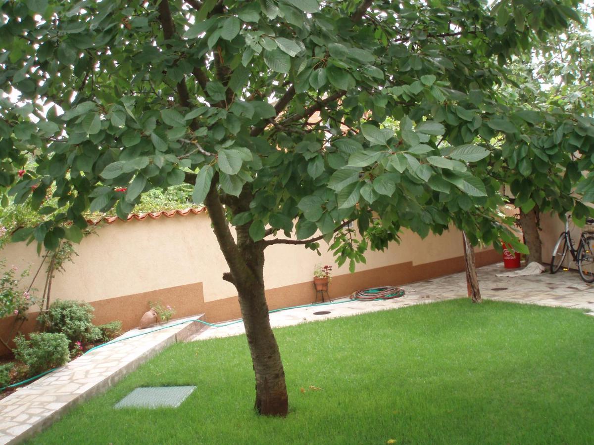 Haus Milan Ap3 Apartment Fazana Exterior photo